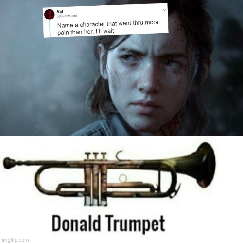 The winner of pain goes to... | image tagged in donald trumpet,donald trump,name a character,who went through,more pain,than her | made w/ Imgflip meme maker
