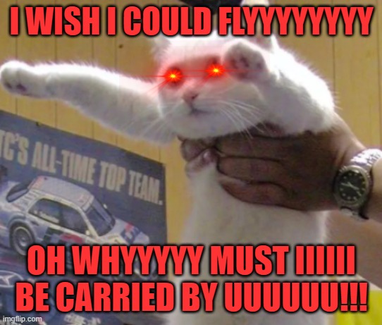 oh whyyyyyyyyyyy! | I WISH I COULD FLYYYYYYYY; OH WHYYYYY MUST IIIIII
BE CARRIED BY UUUUUU!!! | image tagged in 10 guy | made w/ Imgflip meme maker