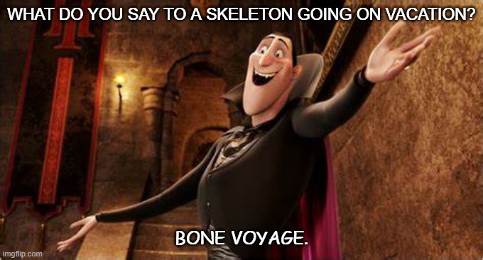 Daily Bad Dad Joke Nov 24 2020 | WHAT DO YOU SAY TO A SKELETON GOING ON VACATION? BONE VOYAGE. | image tagged in funny memes | made w/ Imgflip meme maker