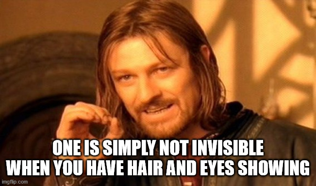 One Does Not Simply Meme | ONE IS SIMPLY NOT INVISIBLE WHEN YOU HAVE HAIR AND EYES SHOWING | image tagged in memes,one does not simply | made w/ Imgflip meme maker