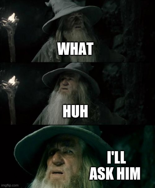 Confused Gandalf Meme | WHAT HUH I'LL ASK HIM | image tagged in memes,confused gandalf | made w/ Imgflip meme maker