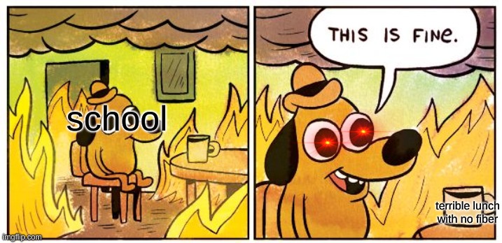 This Is Fine | school; terrible lunch with no fiber | image tagged in memes,this is fine | made w/ Imgflip meme maker