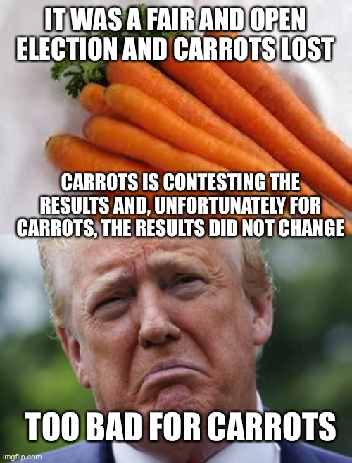 See link in comments for context | IT WAS A FAIR AND OPEN ELECTION AND CARROTS LOST; CARROTS IS CONTESTING THE RESULTS AND, UNFORTUNATELY FOR CARROTS, THE RESULTS DID NOT CHANGE; TOO BAD FOR CARROTS | image tagged in sad donnie,donald trump you're fired,donald trump is an idiot,election 2020,voter fraud,election fraud | made w/ Imgflip meme maker