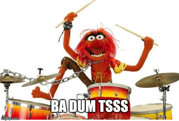 animal drums | BA DUM TSSS | image tagged in animal drums | made w/ Imgflip meme maker