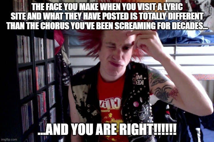 The face you make... | THE FACE YOU MAKE WHEN YOU VISIT A LYRIC SITE AND WHAT THEY HAVE POSTED IS TOTALLY DIFFERENT THAN THE CHORUS YOU'VE BEEN SCREAMING FOR DECADES... ...AND YOU ARE RIGHT!!!!!! | image tagged in wrong lyrics,punk rock,wtf | made w/ Imgflip meme maker