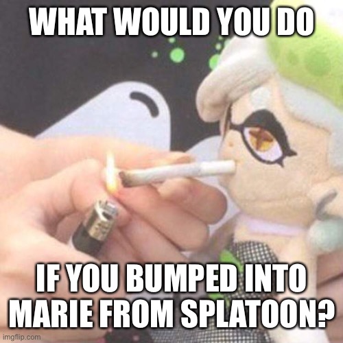 Marie Plush smoking | WHAT WOULD YOU DO; IF YOU BUMPED INTO MARIE FROM SPLATOON? | image tagged in marie plush smoking | made w/ Imgflip meme maker