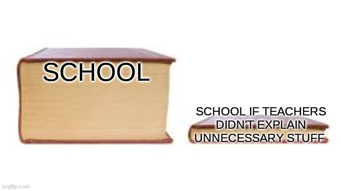 True story | SCHOOL; SCHOOL IF TEACHERS DIDN'T EXPLAIN UNNECESSARY STUFF | image tagged in big book small book | made w/ Imgflip meme maker