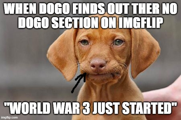whesh imflip | WHEN DOGO FINDS OUT THER NO
DOGO SECTION ON IMGFLIP; "WORLD WAR 3 JUST STARTED" | image tagged in dissapointed puppy | made w/ Imgflip meme maker