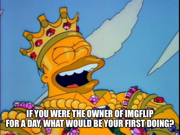 King HOmer | IF YOU WERE THE OWNER OF IMGFLIP FOR A DAY, WHAT WOULD BE YOUR FIRST DOING? | image tagged in king homer | made w/ Imgflip meme maker