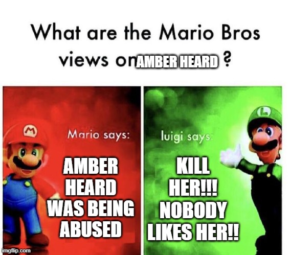 Mario Bros Views | AMBER HEARD; AMBER HEARD WAS BEING ABUSED; KILL HER!!! NOBODY LIKES HER!! | image tagged in mario bros views | made w/ Imgflip meme maker