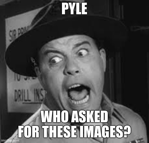 Sgt. Carter Yelling | PYLE WHO ASKED FOR THESE IMAGES? | image tagged in sgt carter yelling | made w/ Imgflip meme maker