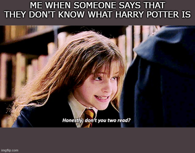 HARRY POTTER! | ME WHEN SOMEONE SAYS THAT THEY DON'T KNOW WHAT HARRY POTTER IS | image tagged in honestly dont you two read | made w/ Imgflip meme maker