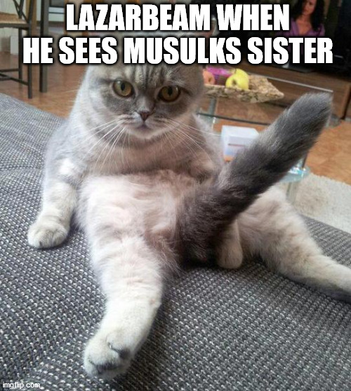 Sexy Cat Meme | LAZARBEAM WHEN HE SEES MUSULKS SISTER | image tagged in memes,sexy cat,LazarBeam | made w/ Imgflip meme maker