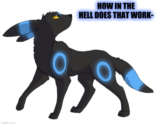 HOW IN THE HELL DOES THAT WORK- | made w/ Imgflip meme maker
