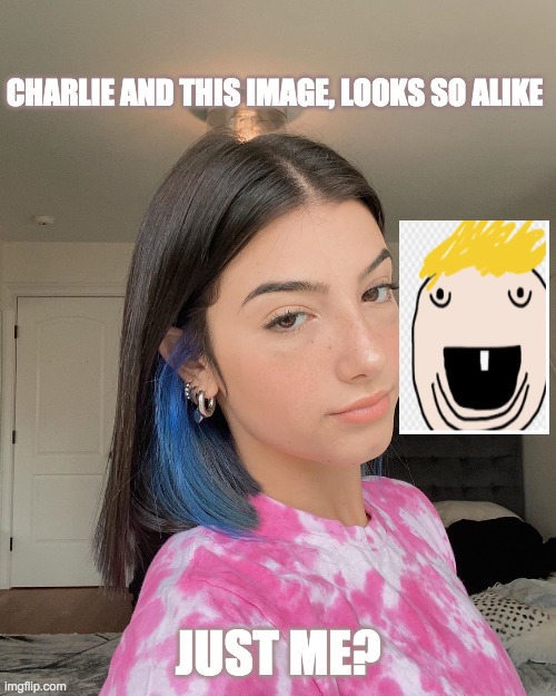 charli damelio | CHARLIE AND THIS IMAGE, LOOKS SO ALIKE; JUST ME? | image tagged in charli damelio | made w/ Imgflip meme maker