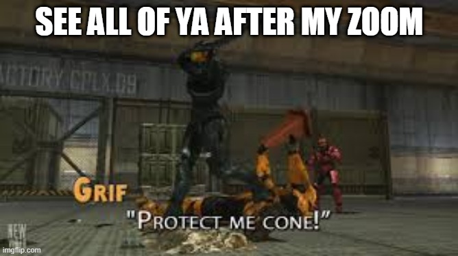 Protect me cone | SEE ALL OF YA AFTER MY ZOOM | image tagged in protect me cone | made w/ Imgflip meme maker