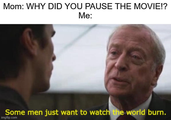 I put this on r/Limenade | Mom: WHY DID YOU PAUSE THE MOVIE!?
Me: | image tagged in some men just want to watch the world burn,movie,movie quotes | made w/ Imgflip meme maker
