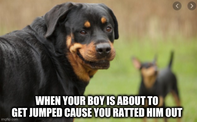 WHEN YOUR BOY IS ABOUT TO GET JUMPED CAUSE YOU RATTED HIM OUT | made w/ Imgflip meme maker