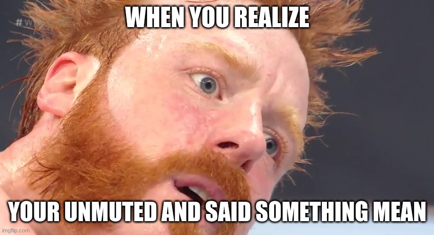 F.U.N.N.Y. | WHEN YOU REALIZE; YOUR UNMUTED AND SAID SOMETHING MEAN | image tagged in funny memes,online school | made w/ Imgflip meme maker