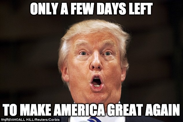 only a few days left to maga | ONLY A FEW DAYS LEFT; TO MAKE AMERICA GREAT AGAIN | image tagged in trump stupid face | made w/ Imgflip meme maker