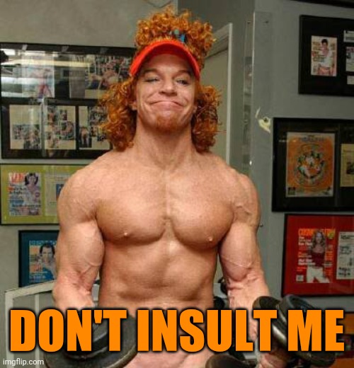 Carrot Top Lifts | DON'T INSULT ME | image tagged in carrot top lifts | made w/ Imgflip meme maker