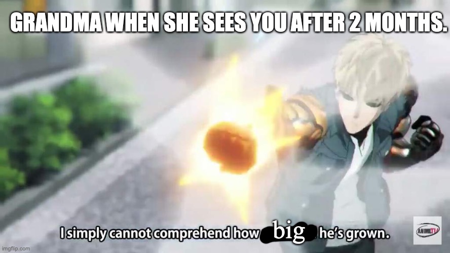 GRANDMA WHEN SHE SEES YOU AFTER 2 MONTHS. big | image tagged in one punch man,grandma | made w/ Imgflip meme maker