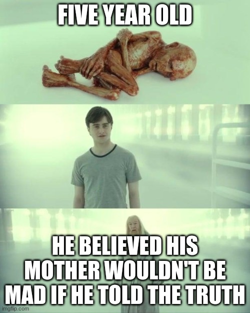 NO BOB NO!!!!!!!!!! | FIVE YEAR OLD; HE BELIEVED HIS MOTHER WOULDN'T BE MAD IF HE TOLD THE TRUTH | image tagged in dead baby voldemort / what happened to him | made w/ Imgflip meme maker