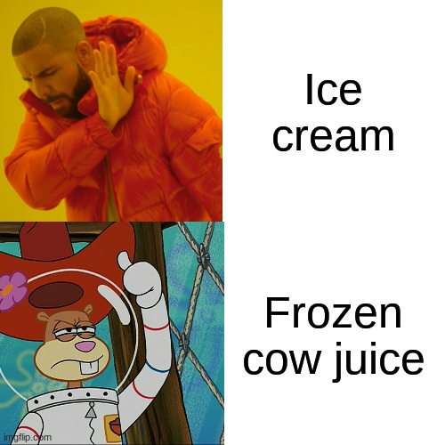 Drake Hotline Bling Meme | Ice cream Frozen cow juice | image tagged in memes,drake hotline bling | made w/ Imgflip meme maker
