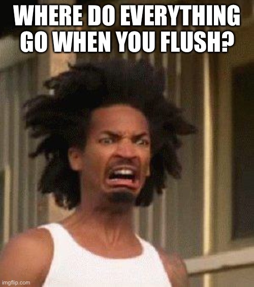Disgusted Face | WHERE DO EVERYTHING GO WHEN YOU FLUSH? | image tagged in disgusted face | made w/ Imgflip meme maker