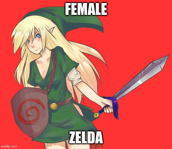 FEMALE; ZELDA | made w/ Imgflip meme maker