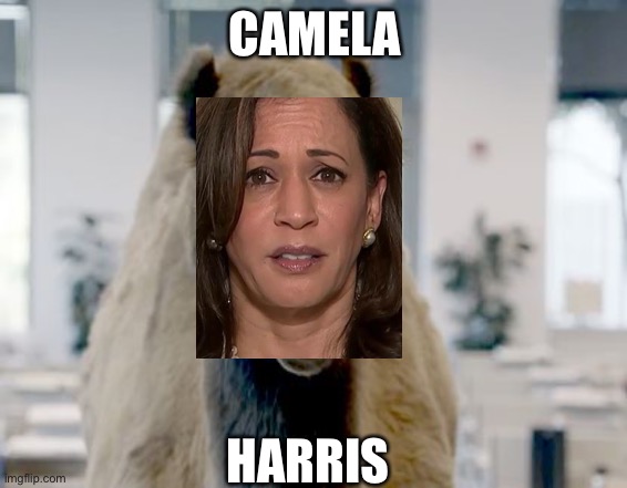 Geico camel hump day | CAMELA HARRIS | image tagged in geico camel hump day | made w/ Imgflip meme maker