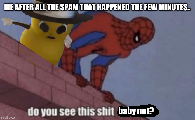 Do you see this shit Baby Nut? | ME AFTER ALL THE SPAM THAT HAPPENED THE FEW MINUTES.. | image tagged in do you see this shit baby nut | made w/ Imgflip meme maker
