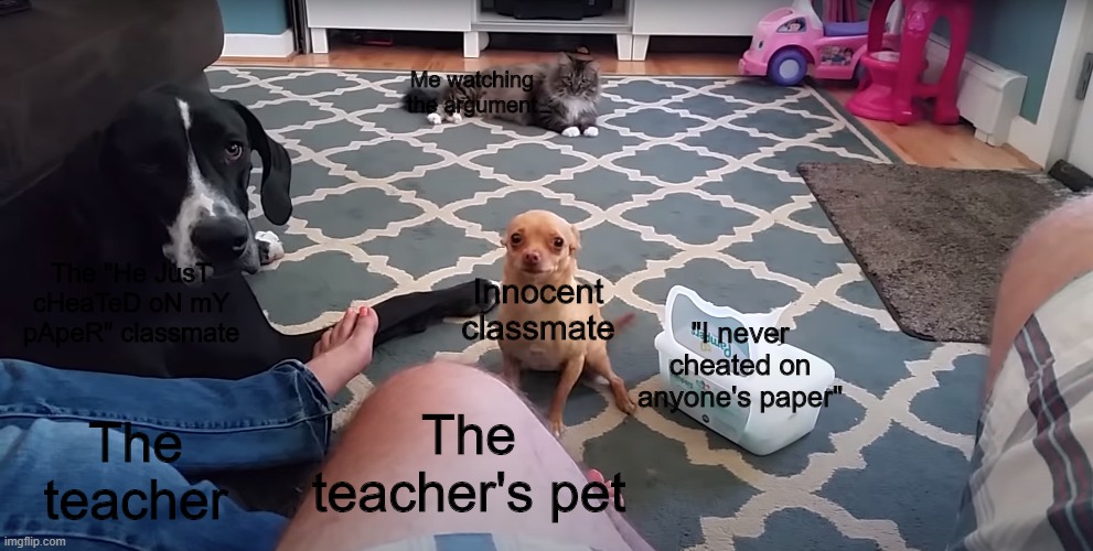 Schools be like: | Me watching the argument; The "He JusT cHeaTeD oN mY pApeR" classmate; Innocent classmate; "I never cheated on anyone's paper"; The teacher's pet; The teacher | image tagged in chihuahua going crazy | made w/ Imgflip meme maker