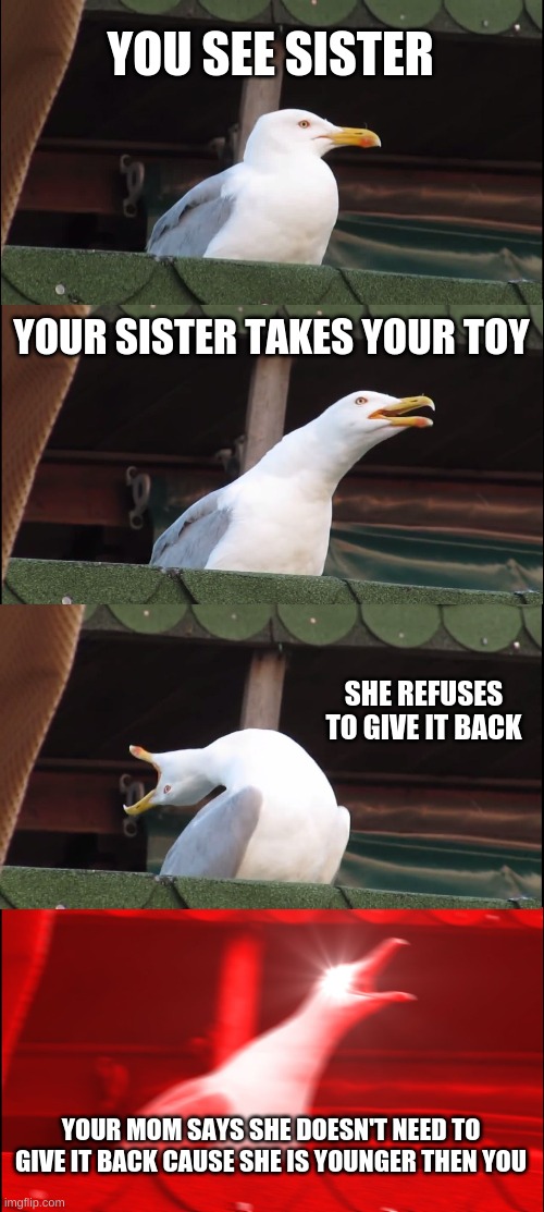 when your sister takes your toy | YOU SEE SISTER; YOUR SISTER TAKES YOUR TOY; SHE REFUSES TO GIVE IT BACK; YOUR MOM SAYS SHE DOESN'T NEED TO GIVE IT BACK CAUSE SHE IS YOUNGER THEN YOU | image tagged in memes,inhaling seagull | made w/ Imgflip meme maker