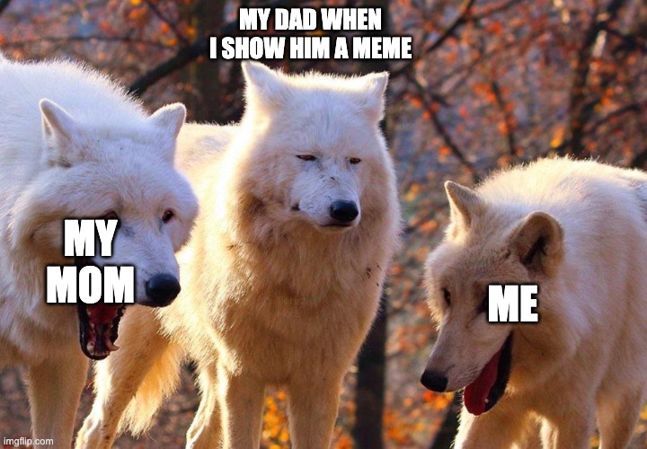 Three Wolfs | MY DAD WHEN I SHOW HIM A MEME; ME; MY MOM | image tagged in three wolfs | made w/ Imgflip meme maker