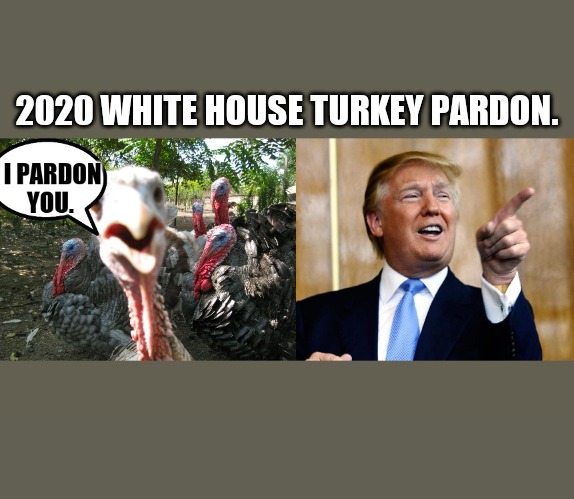 Pardon | 2020 WHITE HOUSE TURKEY PARDON. | image tagged in trump | made w/ Imgflip meme maker