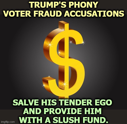 Snowflake bruises so easily. | TRUMP'S PHONY VOTER FRAUD ACCUSATIONS; SALVE HIS TENDER EGO 
AND PROVIDE HIM 
WITH A SLUSH FUND. | image tagged in dollar sign,trump,greed,dollars,voter fraud | made w/ Imgflip meme maker
