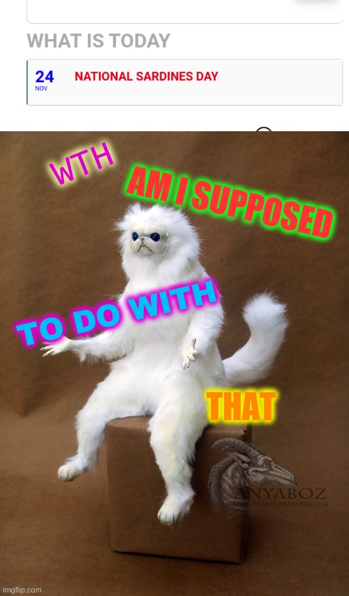 WTH; AM I SUPPOSED; TO DO WITH; THAT | image tagged in memes,persian cat room guardian single | made w/ Imgflip meme maker