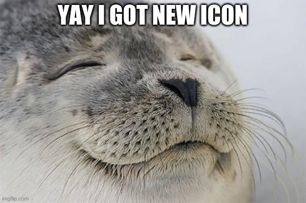YAHOO | YAY I GOT NEW ICON | image tagged in memes,satisfied seal | made w/ Imgflip meme maker