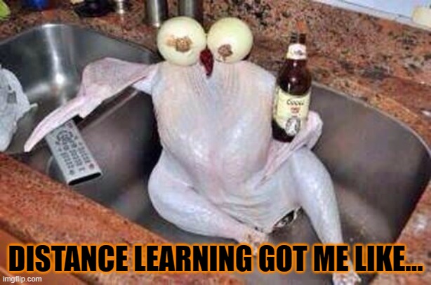 Turkey | DISTANCE LEARNING GOT ME LIKE... | image tagged in turkey | made w/ Imgflip meme maker