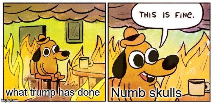 twump is da dump | Numb skulls; what trump has done | image tagged in memes,this is fine | made w/ Imgflip meme maker