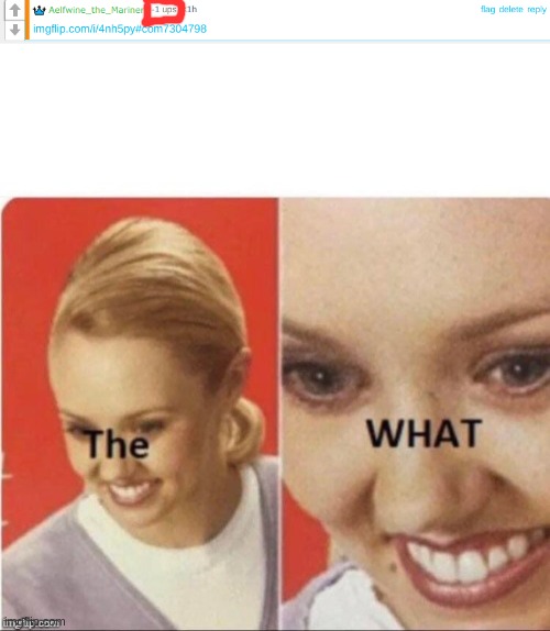 image tagged in -1 upvotes,the what | made w/ Imgflip meme maker