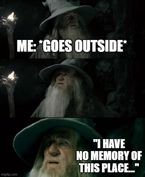 Lockdown issues | ME: *GOES OUTSIDE*; "I HAVE NO MEMORY OF THIS PLACE..." | image tagged in memes,confused gandalf | made w/ Imgflip meme maker