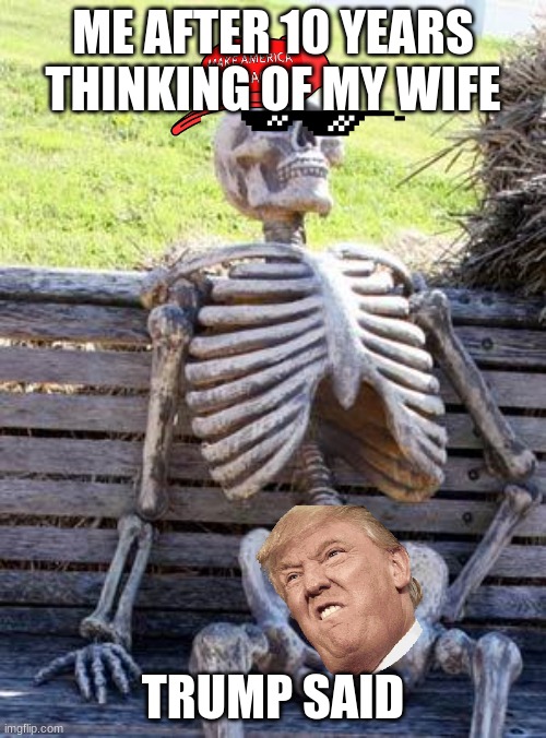 Waiting Skeleton | ME AFTER 10 YEARS THINKING OF MY WIFE; TRUMP SAID | image tagged in memes,waiting skeleton | made w/ Imgflip meme maker