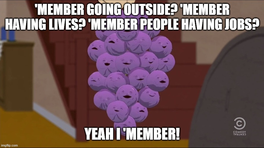'Member outside? | 'MEMBER GOING OUTSIDE? 'MEMBER HAVING LIVES? 'MEMBER PEOPLE HAVING JOBS? YEAH I 'MEMBER! | image tagged in memes,member berries | made w/ Imgflip meme maker