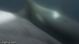image tagged in gifs | made w/ Imgflip video-to-gif maker