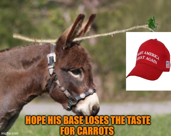 carrot on a stick | HOPE HIS BASE LOSES THE TASTE
FOR CARROTS | image tagged in carrot on a stick | made w/ Imgflip meme maker