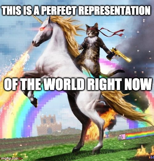 2020 | THIS IS A PERFECT REPRESENTATION; OF THE WORLD RIGHT NOW | image tagged in memes,welcome to the internets,2020,world | made w/ Imgflip meme maker