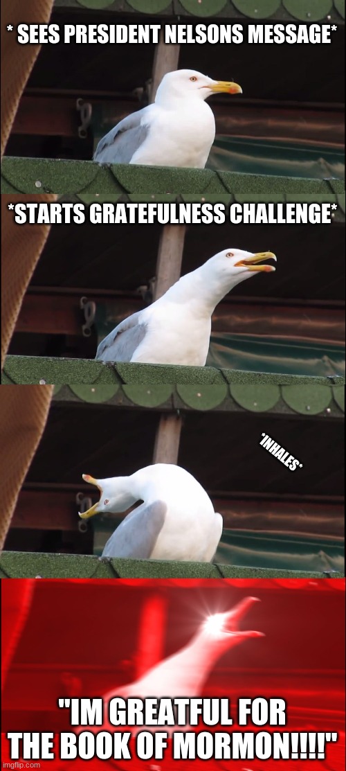 If you know what im talking about, please share this. GiveThanks | * SEES PRESIDENT NELSONS MESSAGE*; *STARTS GRATEFULNESS CHALLENGE*; *INHALES*; "IM GREATFUL FOR THE BOOK OF MORMON!!!!" | image tagged in memes,inhaling seagull,church of jesus christ of latter-day saints | made w/ Imgflip meme maker