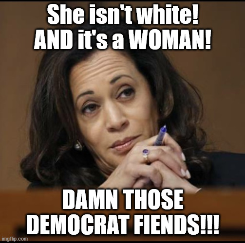 Oh NO! | She isn't white! AND it's a WOMAN! DAMN THOSE DEMOCRAT FIENDS!!! | image tagged in kamala harris,republicans,democrats,repubicons | made w/ Imgflip meme maker